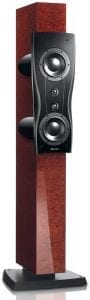 Dynaudio Confidence C2 Platinum mocca