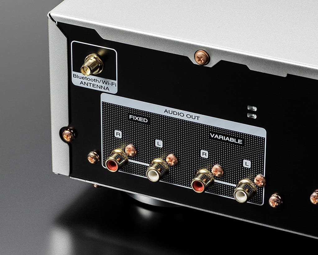 Marantz NA6006 zilver/goud - detail - Audio streamer
