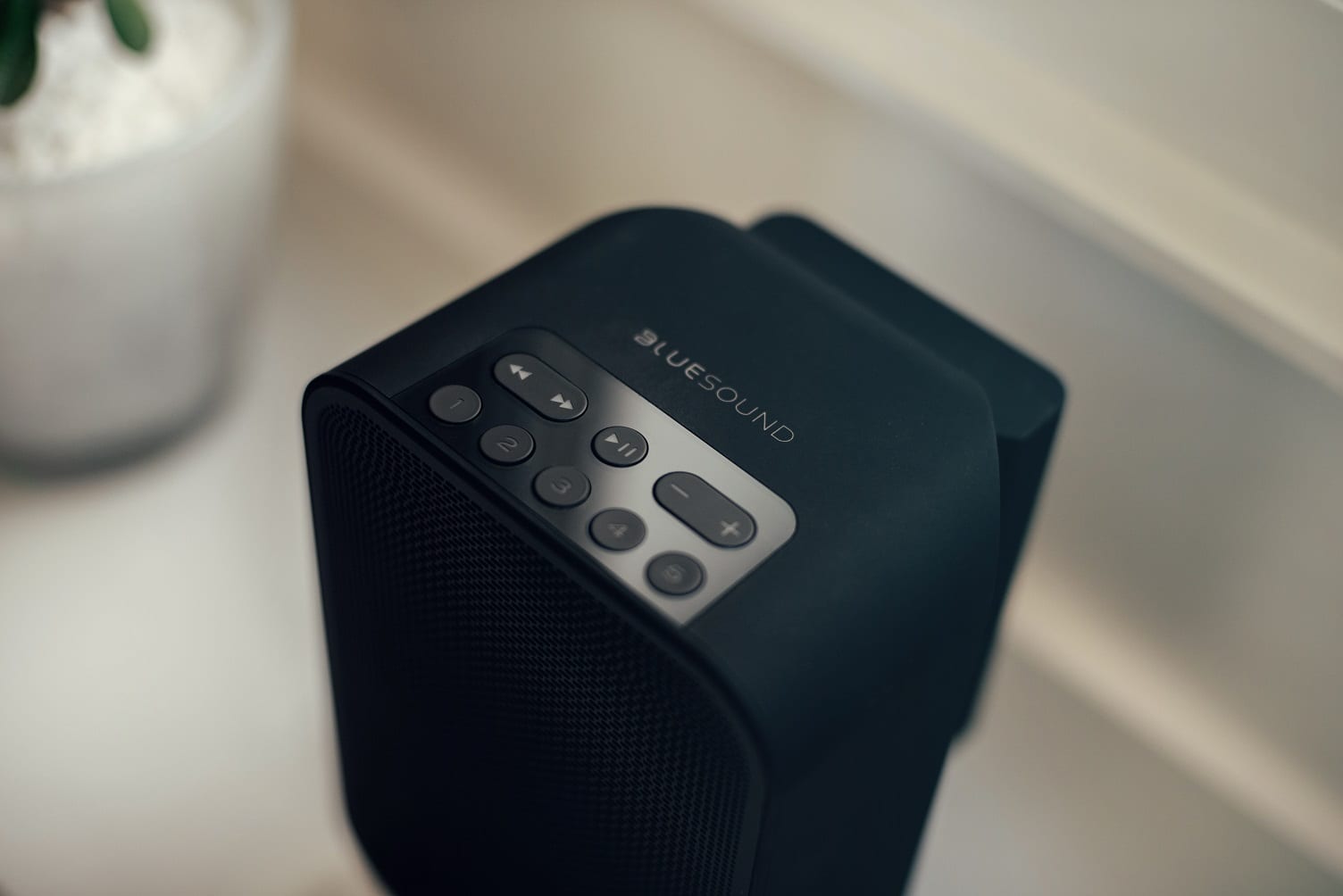 Bluesound Pulse Flex 2i zwart - beauty - Wifi speaker
