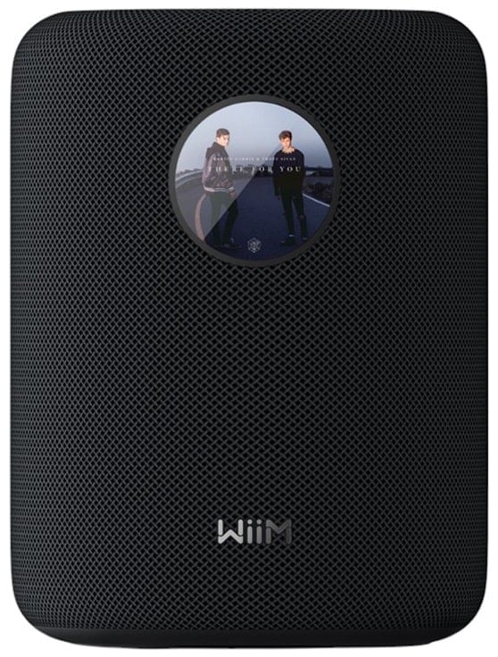 WiiM Sound zwart - Wifi speaker